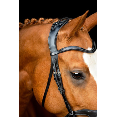 Bridon Montar Monarch organisch gegerbtes Leder Bridon Montar Monarch organisch gegerbtes Leder