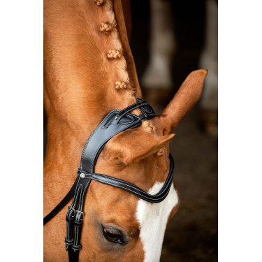 Bridon Montar Monarch organisch gegerbtes Leder Bridon Montar Monarch organisch gegerbtes Leder