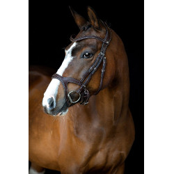 Bridon Montar Monarch organisch gegerbtes Leder Braun