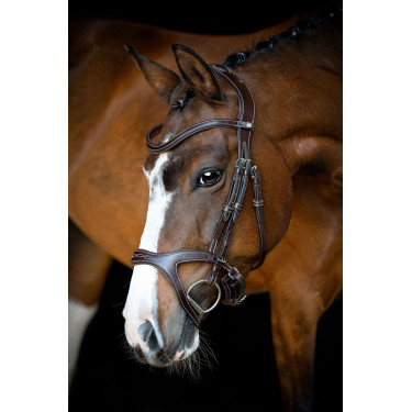 Bridon Montar Monarch organisch gegerbtes Leder Braun