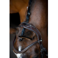 Bridon Montar Monarch organisch gegerbtes Leder Braun