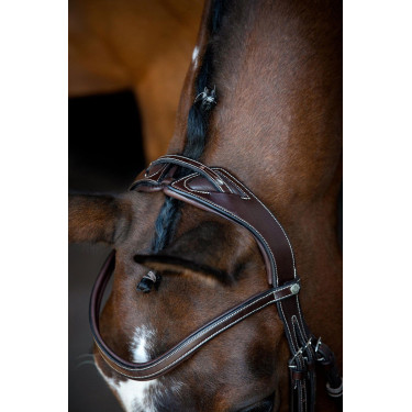 Bridon Montar Monarch organisch gegerbtes Leder Braun