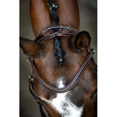 Bridon Montar Monarch organisch gegerbtes Leder Braun