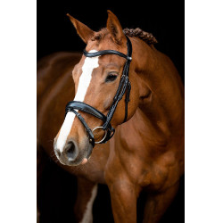 Trensenzaum Montar Normandie gegerbtes Leder