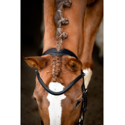 Trensenzaum Montar Normandie gegerbtes Leder Schwarz