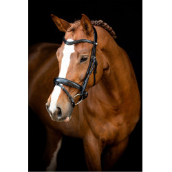 Trensenzaum Montar Normandie gegerbtes Leder Schwarz