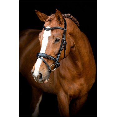 Trensenzaum Montar Normandie gegerbtes Leder Trensenzaum Montar Normandie gegerbtes Leder