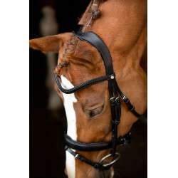 Trensenzaum Montar Normandie gegerbtes Leder Schwarz