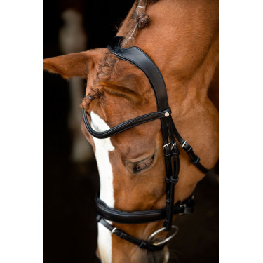 Trensenzaum Montar Normandie gegerbtes Leder Trensenzaum Montar Normandie gegerbtes Leder