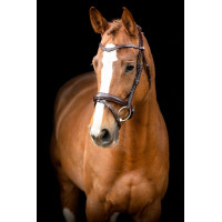 Trensenzaum Montar Normandie gegerbtes Leder Braun Trensenzaum Montar Normandie gegerbtes Leder Braun