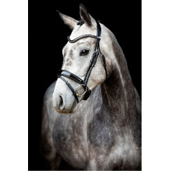 Trense Montar Normandie Deluxe gegerbtes Leder Schwarz