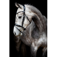 Trense Montar Normandie Deluxe gegerbtes Leder Schwarz Trense Montar Normandie Deluxe gegerbtes Leder Schwarz