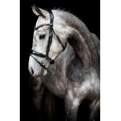 Trense Montar Normandie Deluxe gegerbtes Leder Schwarz