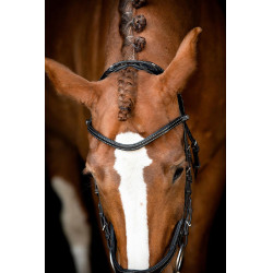 Trensenzaum Montar US Excellence Adapt gegerbtes Leder Schwarz