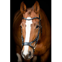 Trensenzaum Montar US Excellence Adapt gegerbtes Leder Schwarz