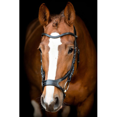 Trensenzaum Montar US Excellence Adapt gegerbtes Leder Trensenzaum Montar US Excellence Adapt gegerbtes Leder