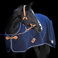 Wolldecke HV Polo Scottie