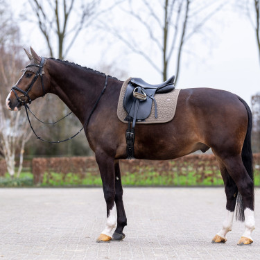 Schabracke HV Polo Essential Dressage Schabracke HV Polo Essential Dressage