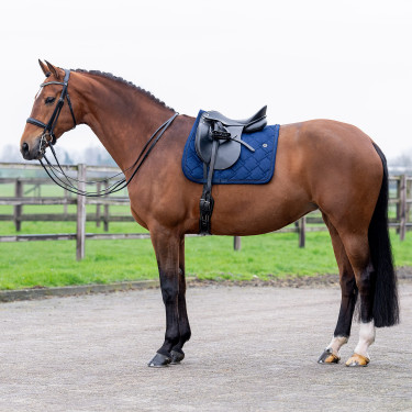 Satteldecke HV Polo Dana Dressur Satteldecke HV Polo Dana Dressur
