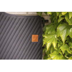 Teppich Diagonal Paddock Sports Schwarz Teppich Diagonal Paddock Sports Schwarz