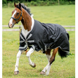 Pferdedecke Horseware Amigo Bravo 12 XL 0g Schwarz / Titan Grau / Silber Pferdedecke Horseware Amigo Bravo 12 XL 0g Schwarz / Titan Grau / Silber