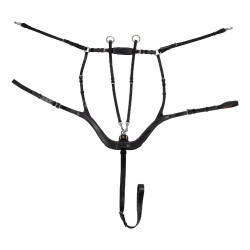 Anatomischer Equestro Vorderzeug aus Leder