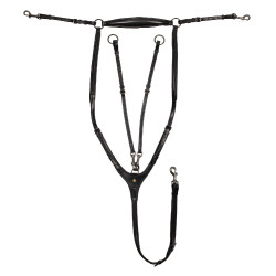 Brustblatt und abnehmbare Martingal aus Leder Equestro