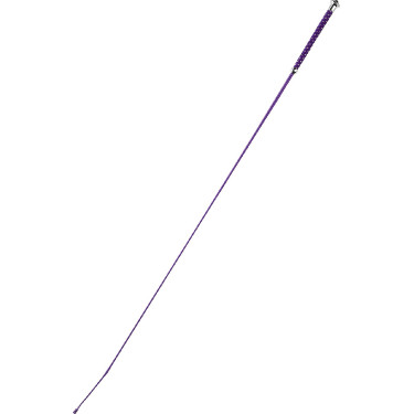 Dressurgerte Whip & Go Points Dressurgerte Whip & Go Points