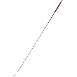 Dressurgerte Whip & Go Points Dressurgerte Whip & Go Points