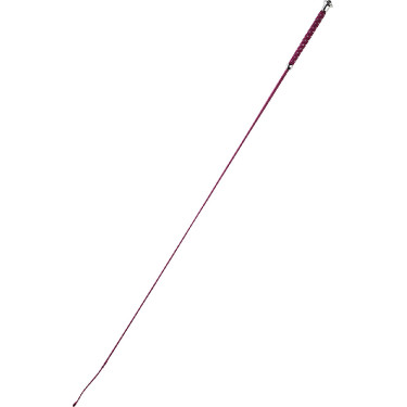 Dressurgerte Whip & Go Points Dressurgerte Whip & Go Points