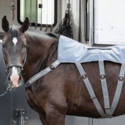 Beheizte Massageunterlage Equilibrium Grau