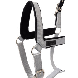 Halfter Delémont Horze Legierung Grau