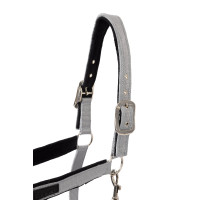 Halfter Delémont Horze Legierung Grau Halfter Delémont Horze Legierung Grau