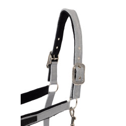 Halfter Delémont Horze Legierung Grau