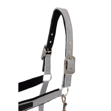 Halfter Delémont Horze Legierung Grau