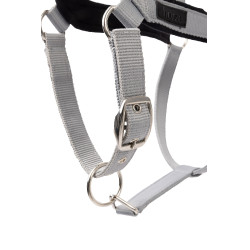 Halfter Delémont Horze Legierung Grau