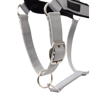 Halfter Delémont Horze Legierung Grau