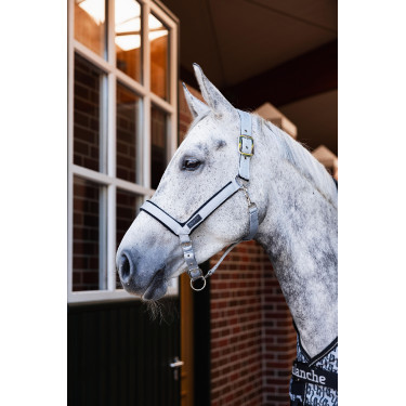 Halfter Delémont Horze Legierung Grau