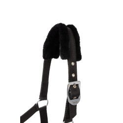 Halfter und Führstrick Pony Pegasus Horze Halfter und Führstrick Pony Pegasus Horze