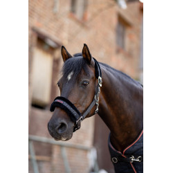 Halfter und Führstrick Pony Pegasus Horze Halfter und Führstrick Pony Pegasus Horze