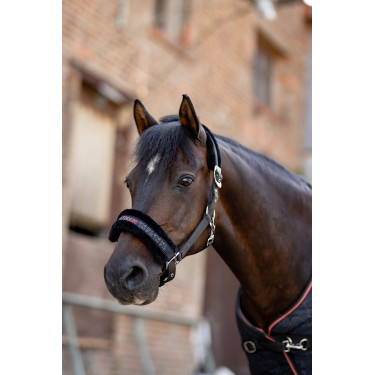 Halfter und Führstrick Pony Pegasus Horze Halfter und Führstrick Pony Pegasus Horze