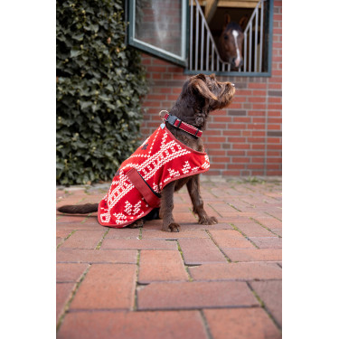 Weihnachtsdecke Hund Horze Rot