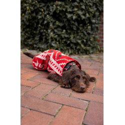Weihnachtsdecke Hund Horze Rot