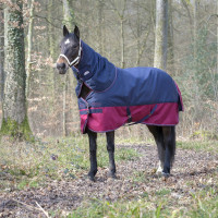 Halsabdeckung Equithème Tyrex 1200 D 0g Marine / Bordeaux Blau Halsabdeckung Equithème Tyrex 1200 D 0g Marine / Bordeaux Blau