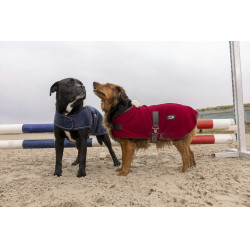 Polar-Decke Diego & Louna Teddy Polar-Decke Diego & Louna Teddy