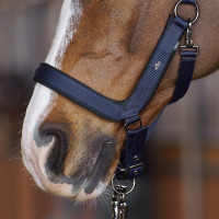 Halfter HV Polo Essential Marine Marineblau