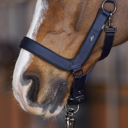 Halfter HV Polo Essential Marine Marineblau