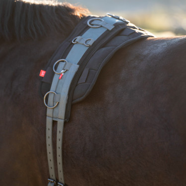 Arbeitslonge Nylon Imperial Riding Deluxe Extra Dunkler Salbei Blau