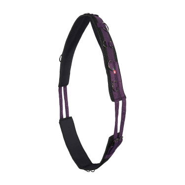 Arbeitslonge Nylon Imperial Riding Deluxe Extra Brombeere Bordeaux