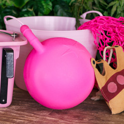 Ballon für Pferde 25 cm Imperial Riding Ballon für Pferde 25 cm Imperial Riding